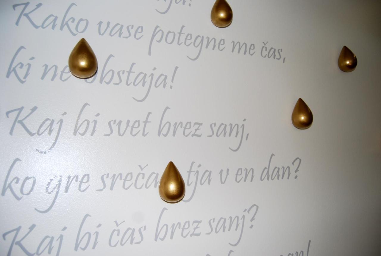 Appartamento Slovenian Art Story Lubiana Esterno foto